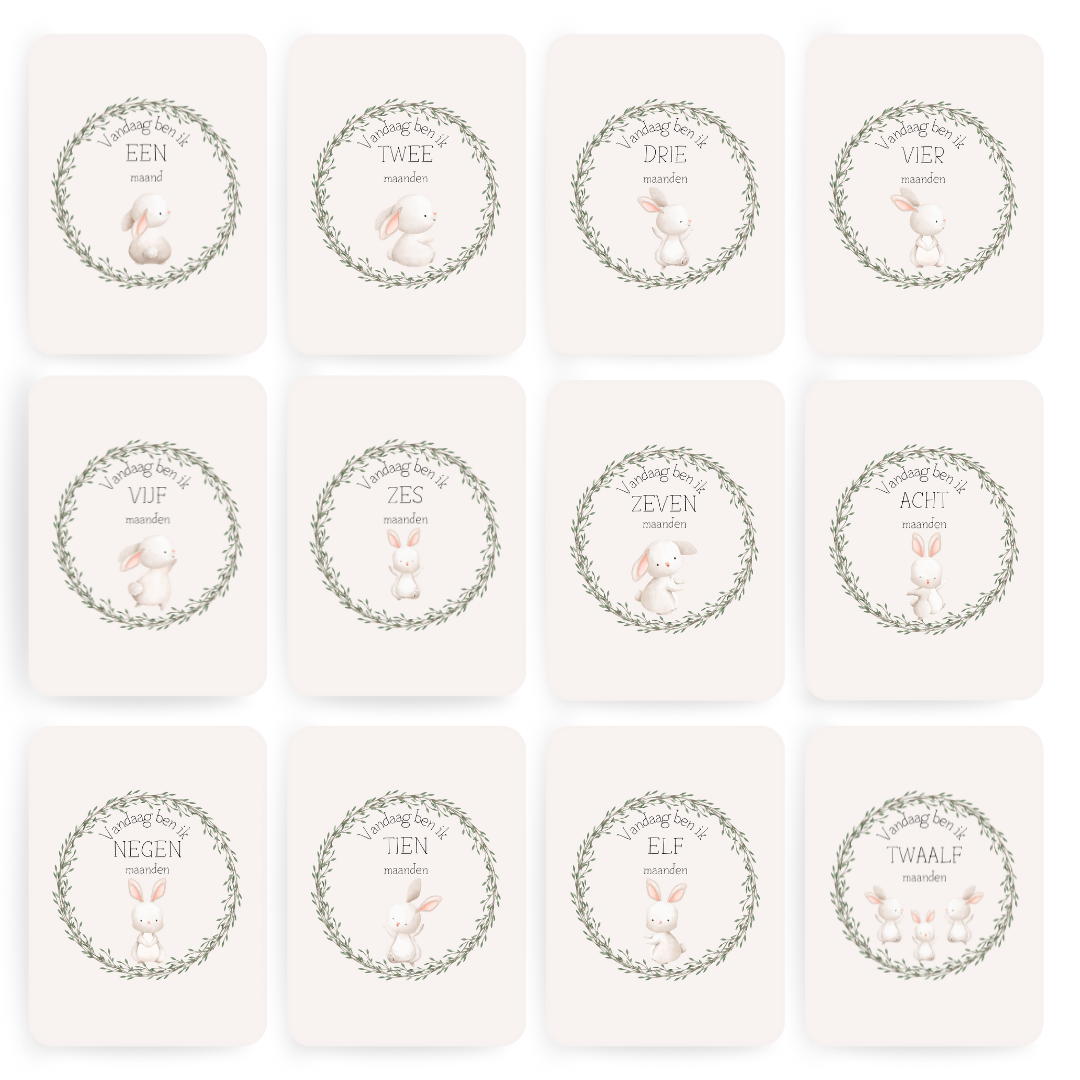 Mijlpaalkaart Konijn